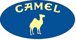 CAMEL e-liquid NATURA